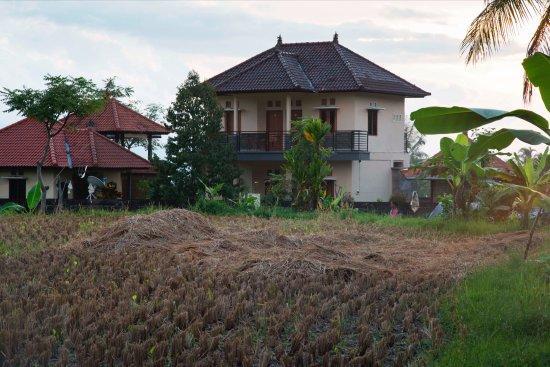 Munduk Yoga Homestay מראה חיצוני תמונה
